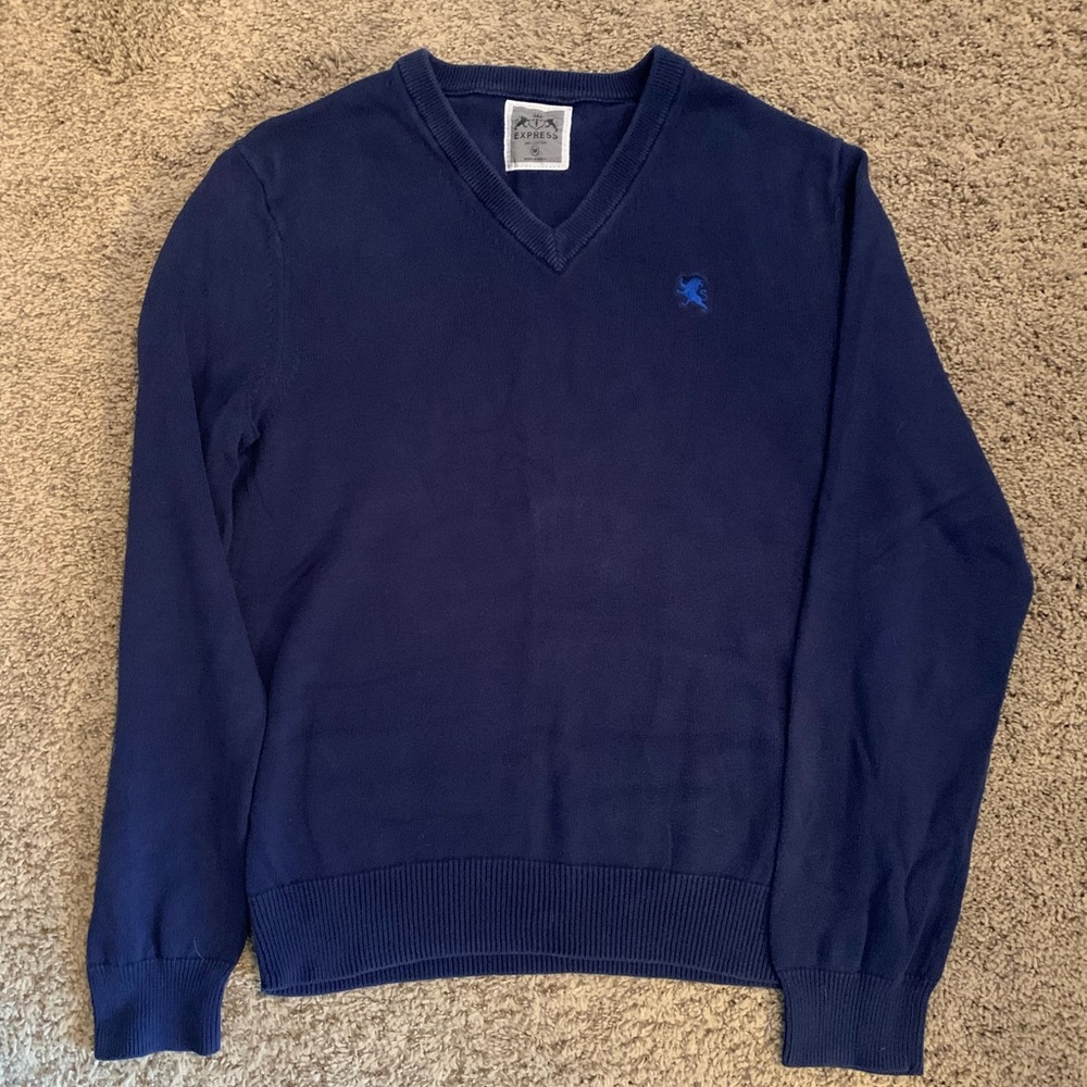 Express Mens sweater
